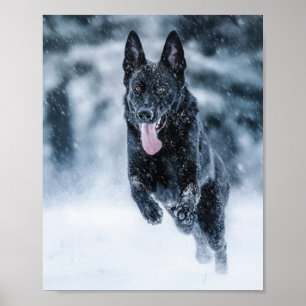 Black German Shepherd i snö Duvet Cover Poster