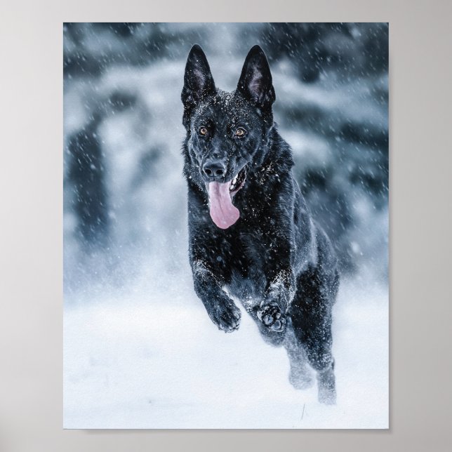 Black German Shepherd i snö Duvet Cover Poster (Framsidan)