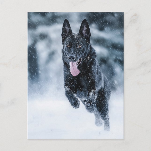 Black German Shepherd i snö Duvet Cover Vykort (Framsida)