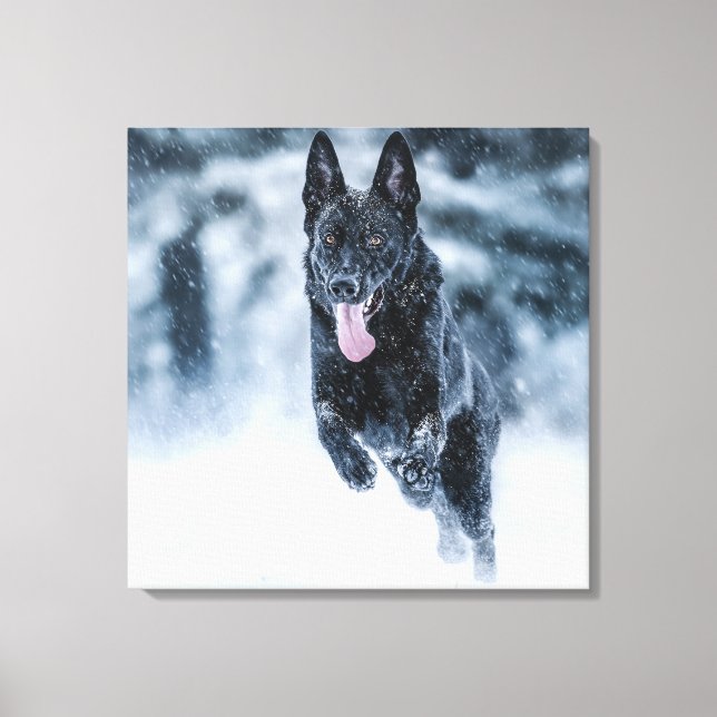 Black German Shepherd in snow Duvet Cover Canvastryck (Framsida)