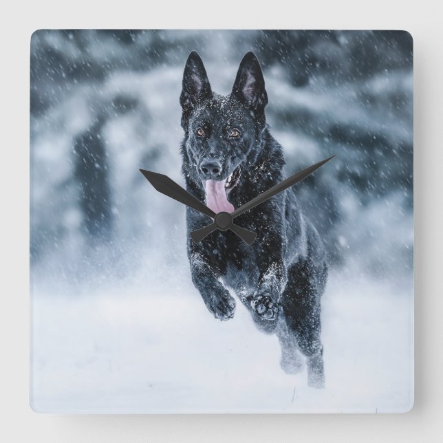 Black German Shepherd in snow Duvet Cover Fyrkantig Klocka (Framsida)