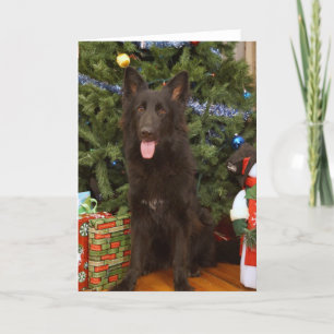Black German Shepherd-julkort Helgkort