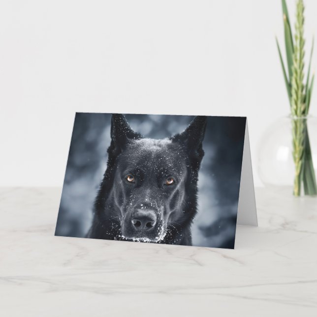 Black German Shepherd Kort (Framsida)
