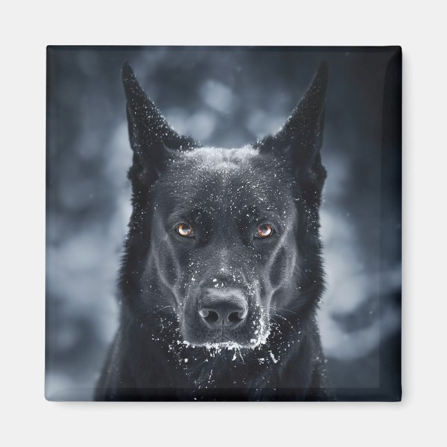 Black German Shepherd Magnet (Framsidan)