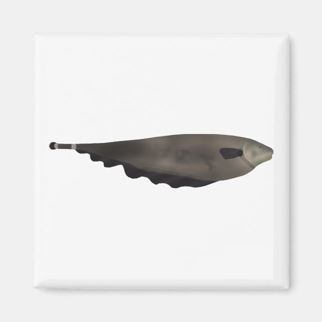 Black Ghost Magnet (Framsidan)