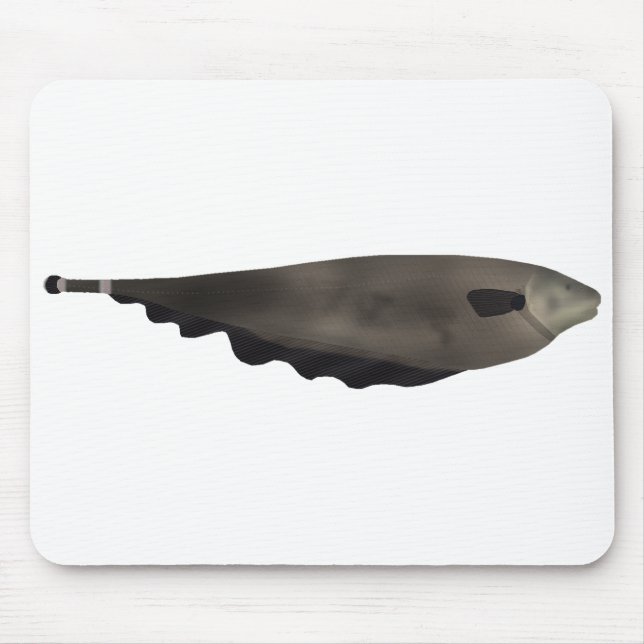 Black Ghost Musmatta (Framsidan)