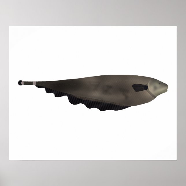 Black Ghost Poster (Framsidan)