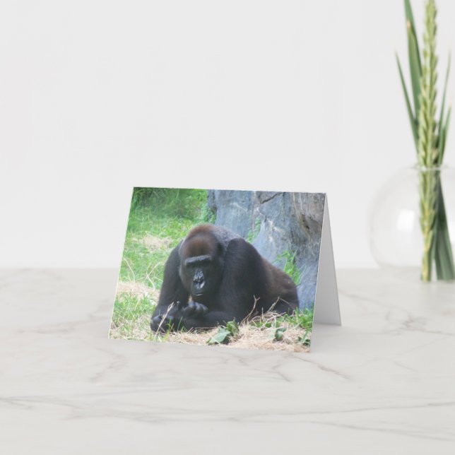 Black Gorilla, så hur går det med din dag? Anteckningskort (Framsida)