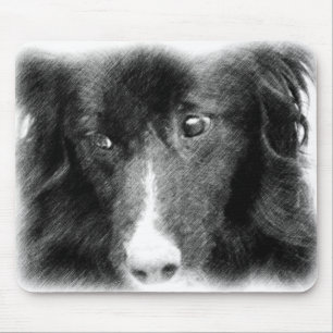 Black Gräns Collie Animal Art Musmatta
