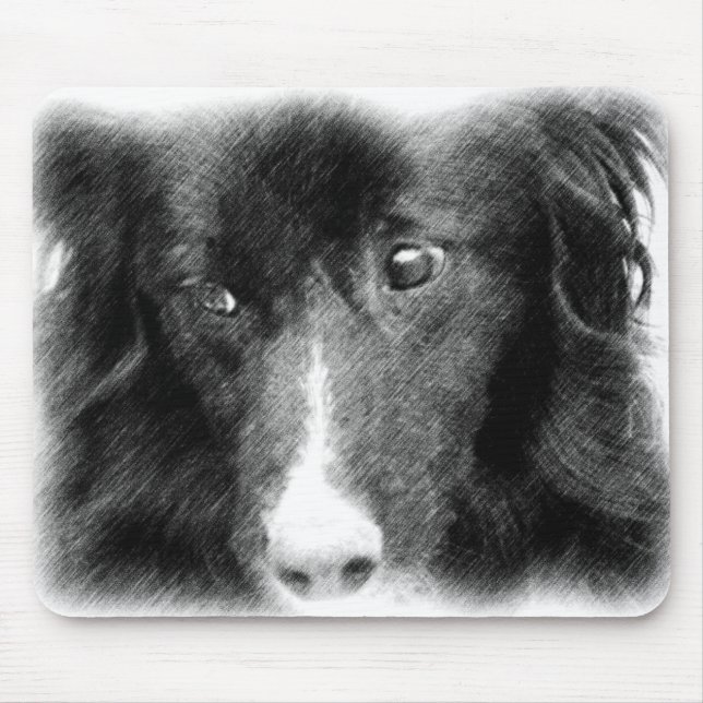 Black Gräns Collie Animal Art Musmatta (Framsidan)