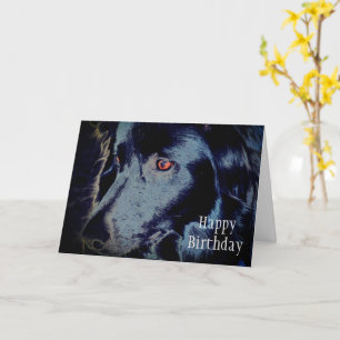 Black Gräns Collie Ansikte Animal Art Birthday Car Kort