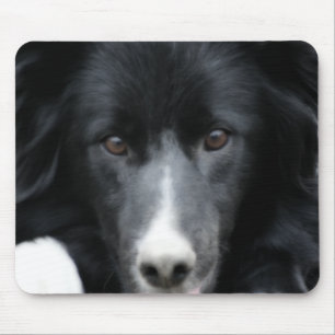 Black Gräns Collie Ansikte Hund Musmatta