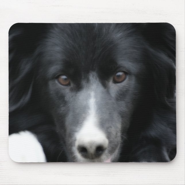 Black Gräns Collie Ansikte Hund Musmatta (Framsidan)