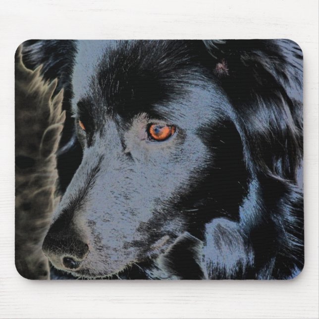 Black Gräns Collie Ansikte Musmatta (Framsidan)