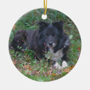 Black Gräns Collie Cute Hund Ornament