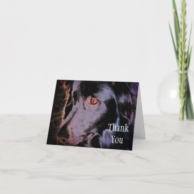 Black Gräns Collie Hund Art - tackkort (Framsida)