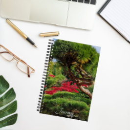 Black Gräs Träd och Red Japansk aple Photo