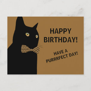 Black Grattis på födelsedagen Cat med en brun Bow Vykort