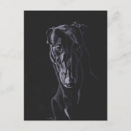 Black Greyhound Hund Art-vykort Vykort