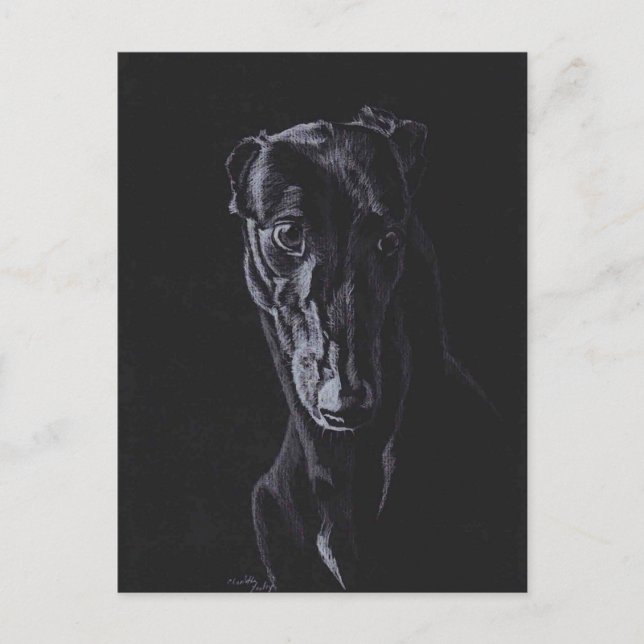 Black Greyhound Hund Art-vykort Vykort (Framsida)