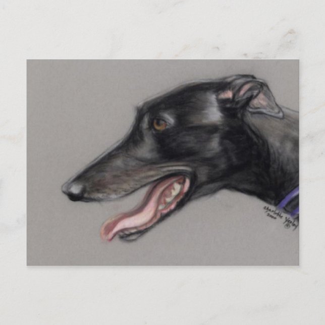 Black Greyhound Original Hund Art-vykort Vykort (Framsida)