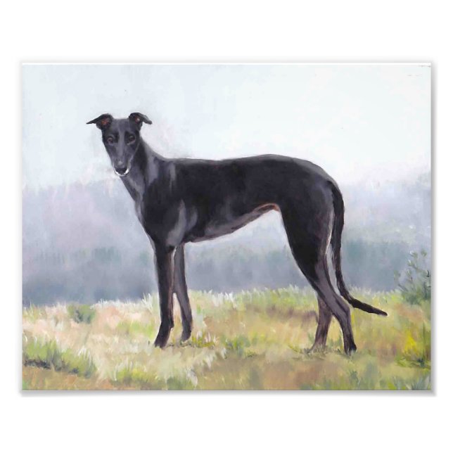 Black Greyhound - permanent Hund Photo Print Fototryck (Framsidan)