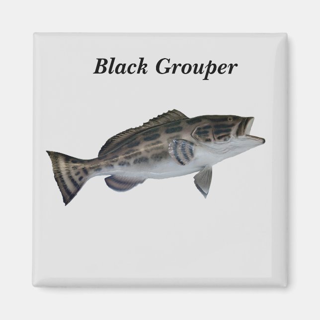 Black Grouper Fish Magnet (Framsidan)