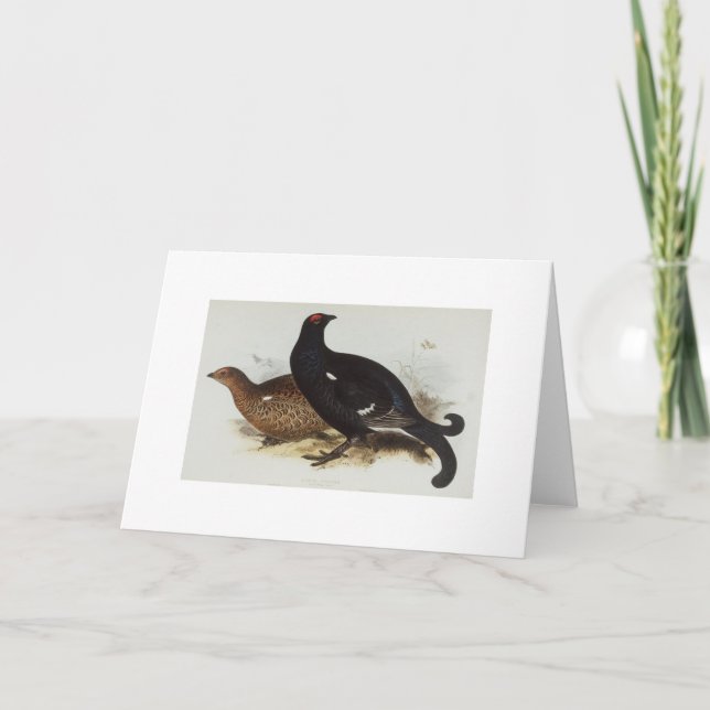 Black Grouse Kort (Framsida)