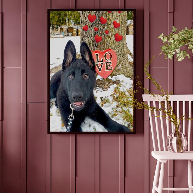 Black GSD Puppy med Hearts & Big Kärlek Valentine Poster (Skapare uppladdad)