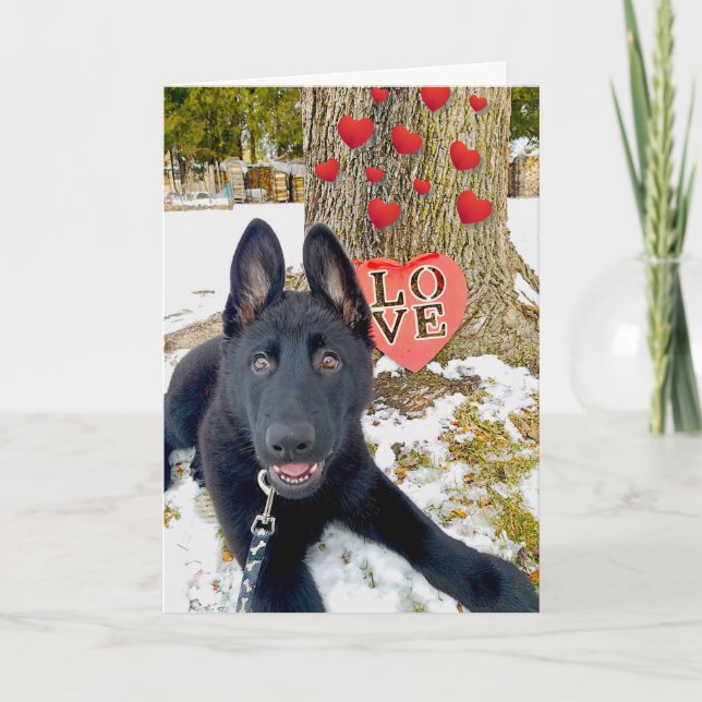 Black GSD Puppy med Hearts & Kärlek Valentine Card Helgkort (Framsida)