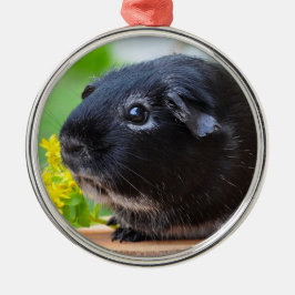 Black Guinea Gris Ceramic Ornament