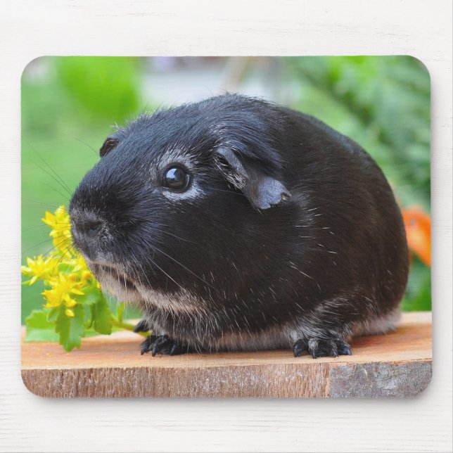 Black Guinea Gris Mouse Pad Musmatta (Framsidan)