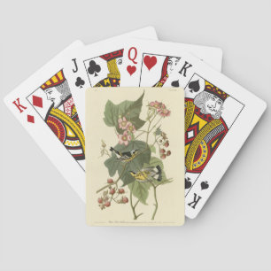 Black & Gult Warblers Audubon's Birds of America Casinokort