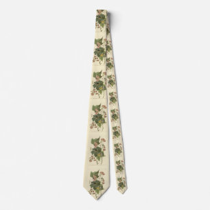 Black & Gult Warblers Audubon's Birds of America Slips
