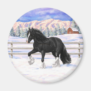 Black Gypsy Vanner Irish Cob Draft Horse i Snö Magnet