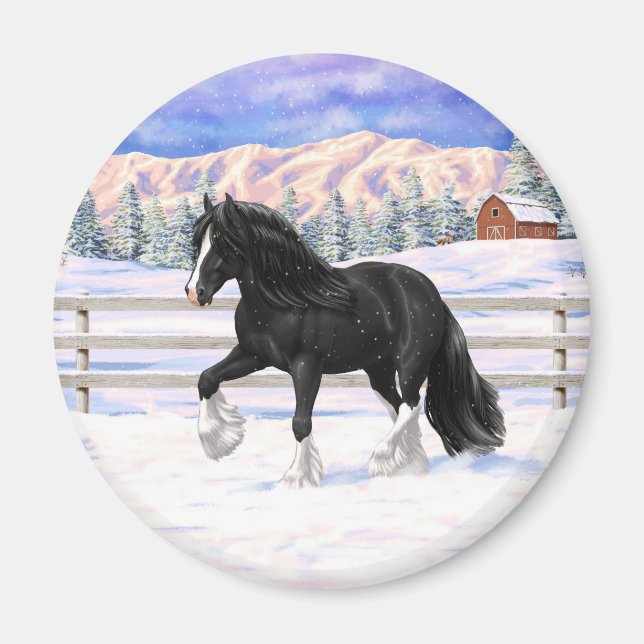 Black Gypsy Vanner Irish Cob Draft Horse i Snö Magnet (Framsidan)