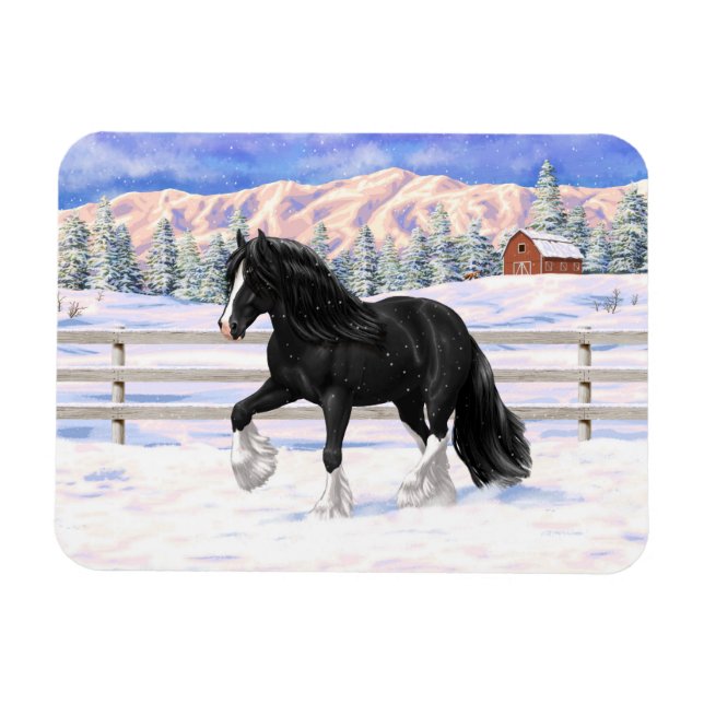 Black Gypsy Vanner Irish Cob Draft Horse i Snö Magnet (Horisontell)