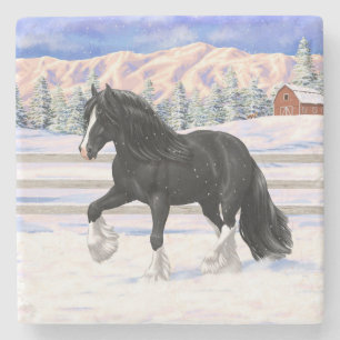 Black Gypsy Vanner Irish Cob Draft Horse i Snö Stenunderlägg