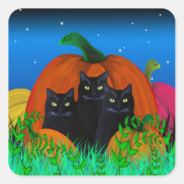 Black Halloween Cats med Pumpkins Stickers Fyrkantigt Klistermärke