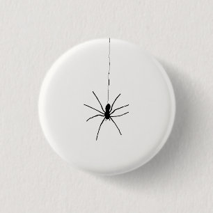 Black Hanging Spider on White Knapp