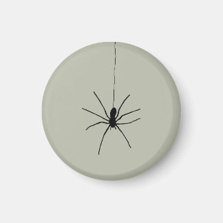Black Hanging Spider på Ash Grått Färg Magnet