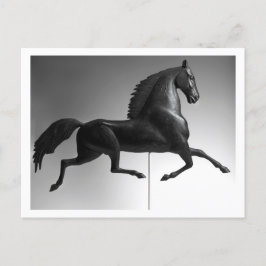 Black Hawk Weathervane Vykort