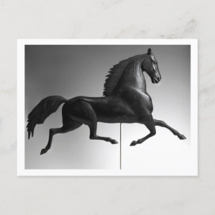 Black Hawk Weathervane Vykort