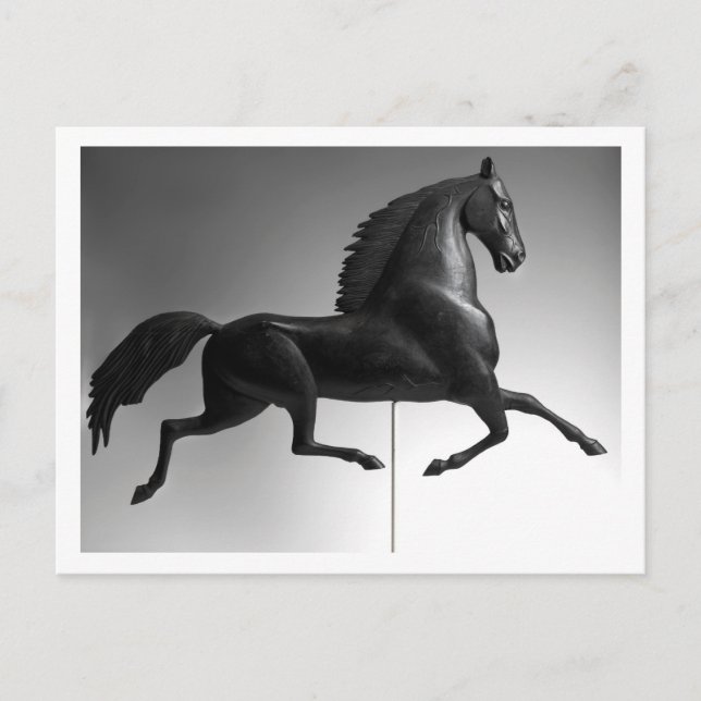 Black Hawk Weathervane Vykort (Framsida)