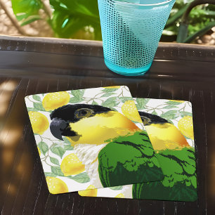 Black Headed Caique Parrot Sweet Gult Grönt Bird Casinokort