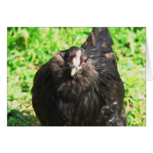 Black Hen Hälsningskort