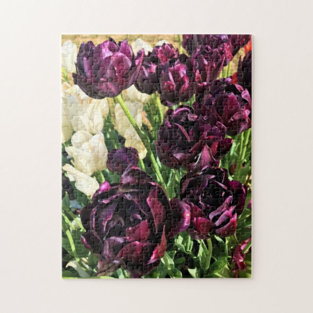 Black Hero Tulips, Oregon Pussel (Vertikal)