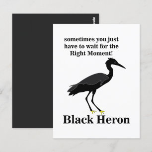 Black Heron Egret Bird Wildlife Vykort