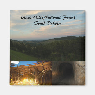 Black Hills nationalskog Magnet