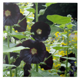 Black Hollyhocks Kakelplatta